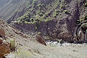 Colca Canyon